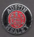austin healey (2)